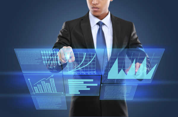 Information software industry